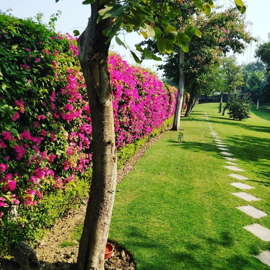 Trident Agra Otel Agra  Dış mekan fotoğraf The campus